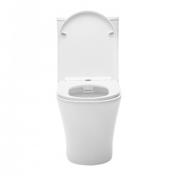 lot de 4 combi WC à poser sans bride, avec abattant softclose - remplissage par le bas (SATBRE030RREXVP-GVP04)