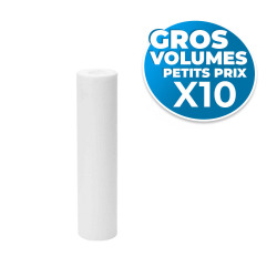 Swiss Aqua Technologies Lot de 10 Cartouches pour filtres domestiques 10 micromètres, longueur 25,3 cm diamètre 6 cm (SATCPP1010MA-GVP10)