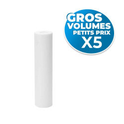 Swiss Aqua Technologies Lot de 5 cartouches pour filtres domestiques 10 micromètres, longueur 25,3 cm diamètre 6 cm (SATCPP1010MA-GVP5)