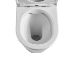 Cuvette seule à poser sans bride, vendue sans abattant, blanc (NDSATBRE031RREXVPB)